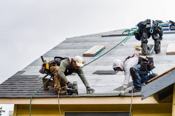 Professional Roofing technician working in Milton Village, MA